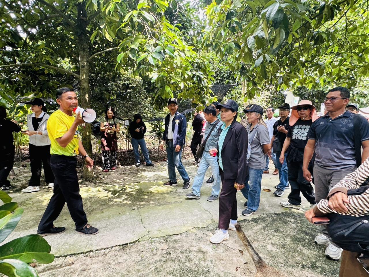 ภาพประกอบที่ 6