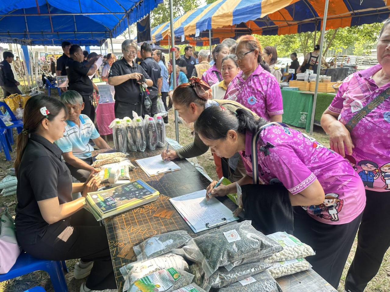 ภาพประกอบที่ 6