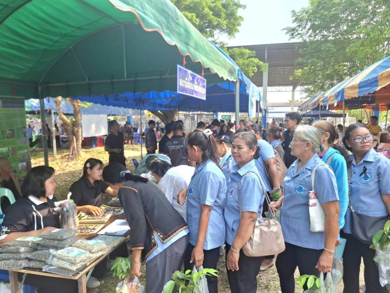 ภาพประกอบที่ 7