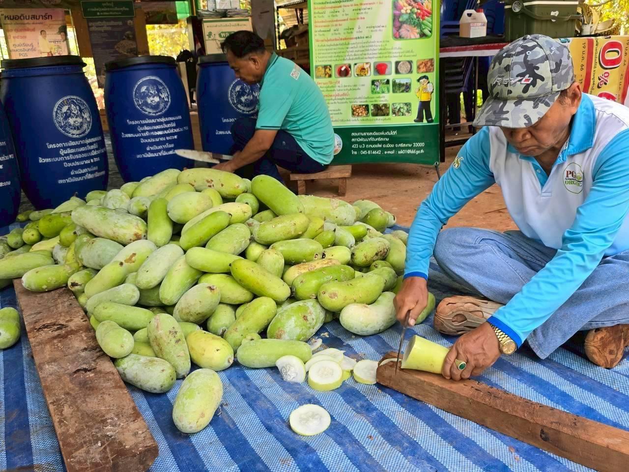 ภาพประกอบที่ 1