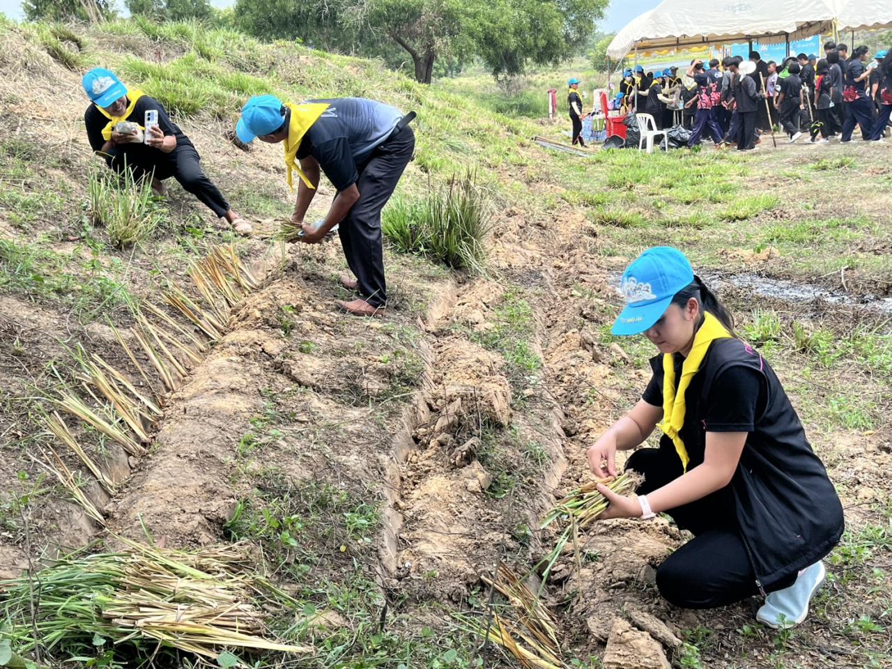 ภาพประกอบที่ 11