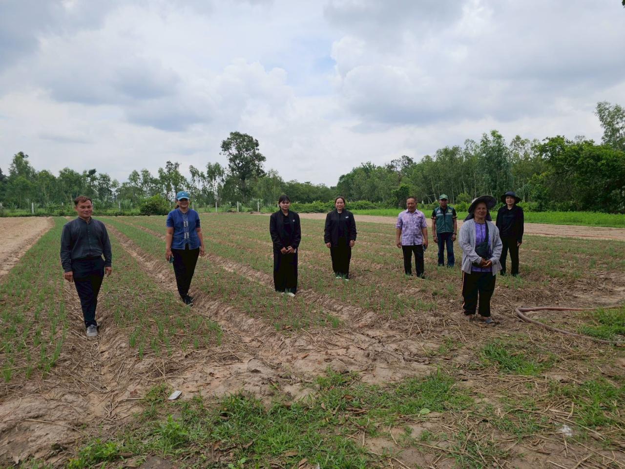 ภาพประกอบที่ 5