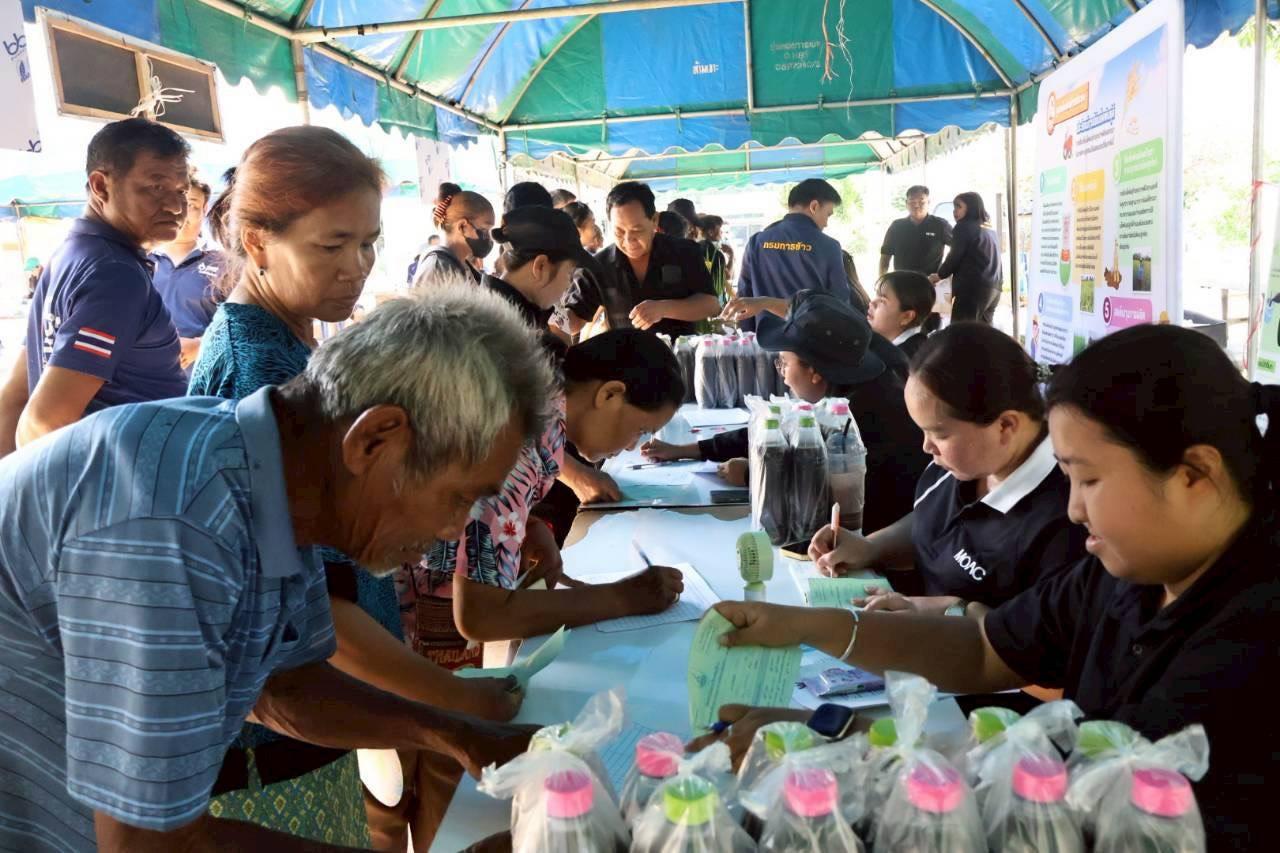 ภาพประกอบที่ 12