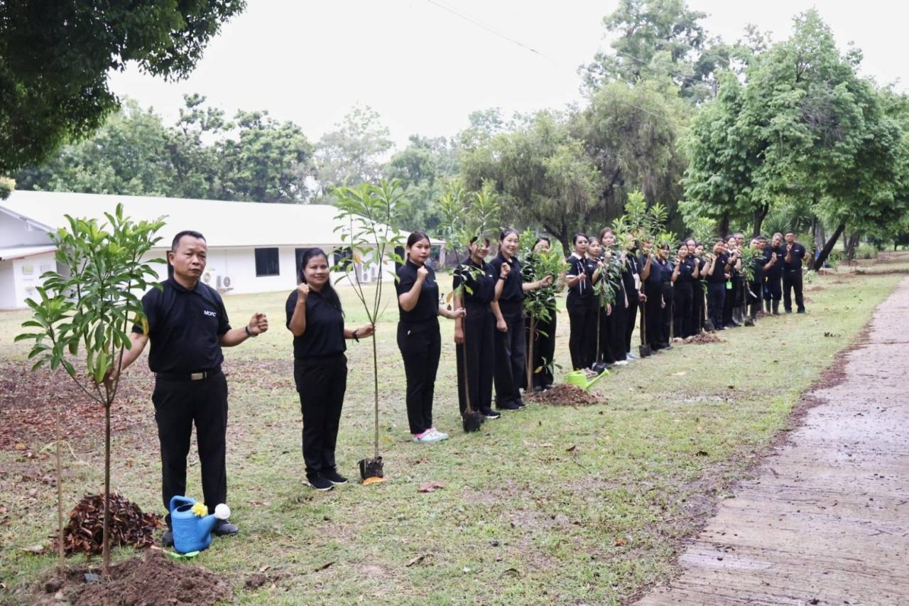 ภาพประกอบที่ 3