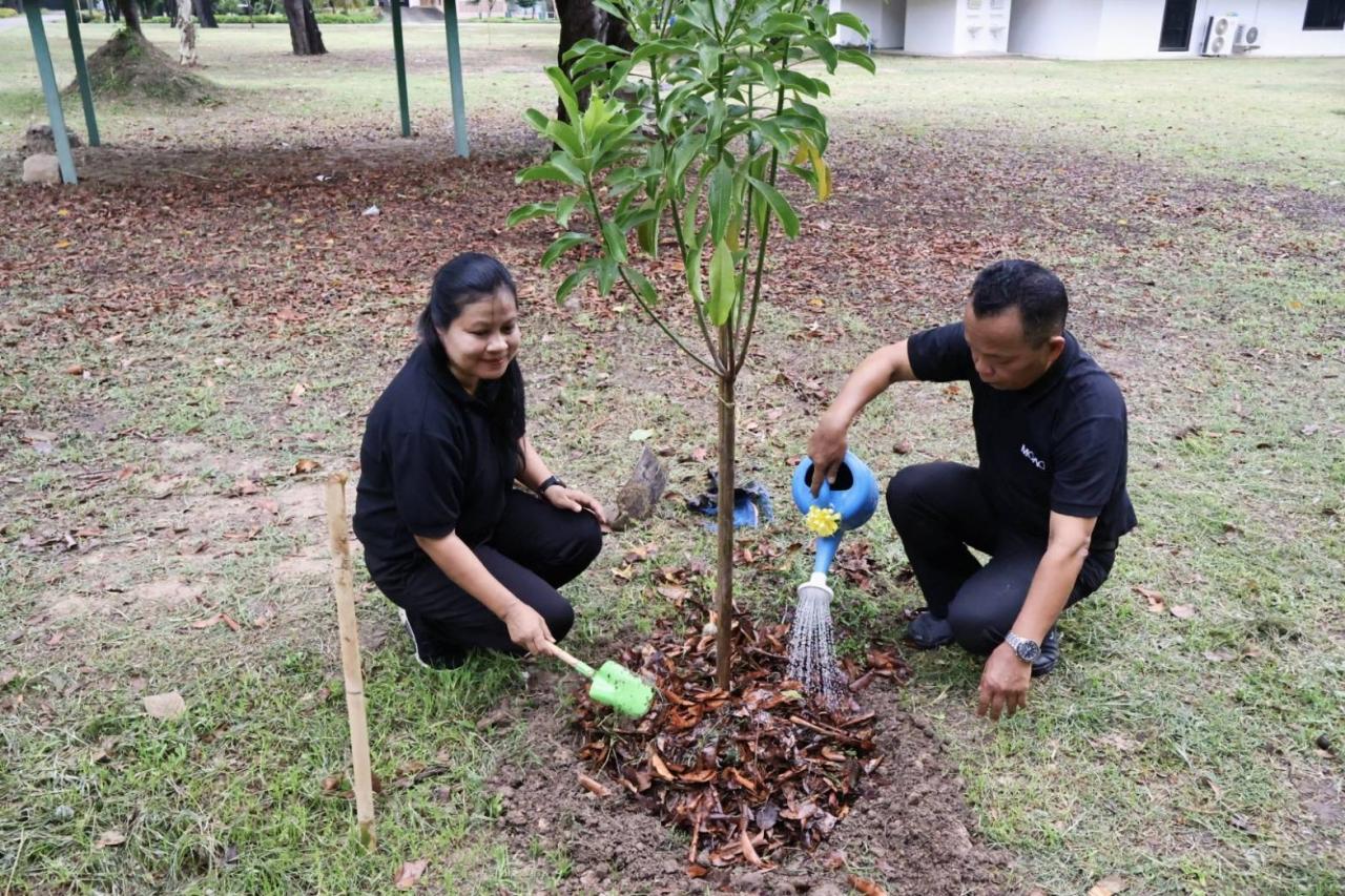 ภาพประกอบที่ 7