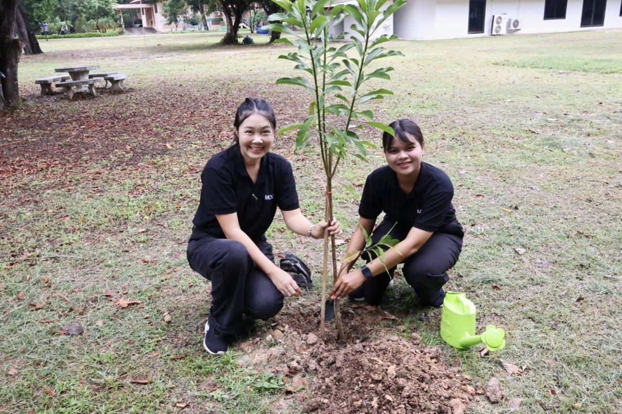 ภาพประกอบที่ 8