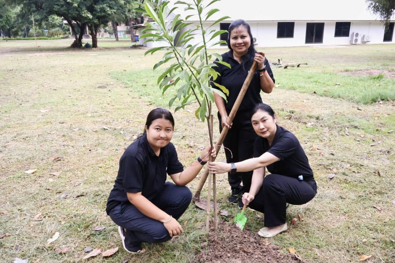 ภาพประกอบที่ 9
