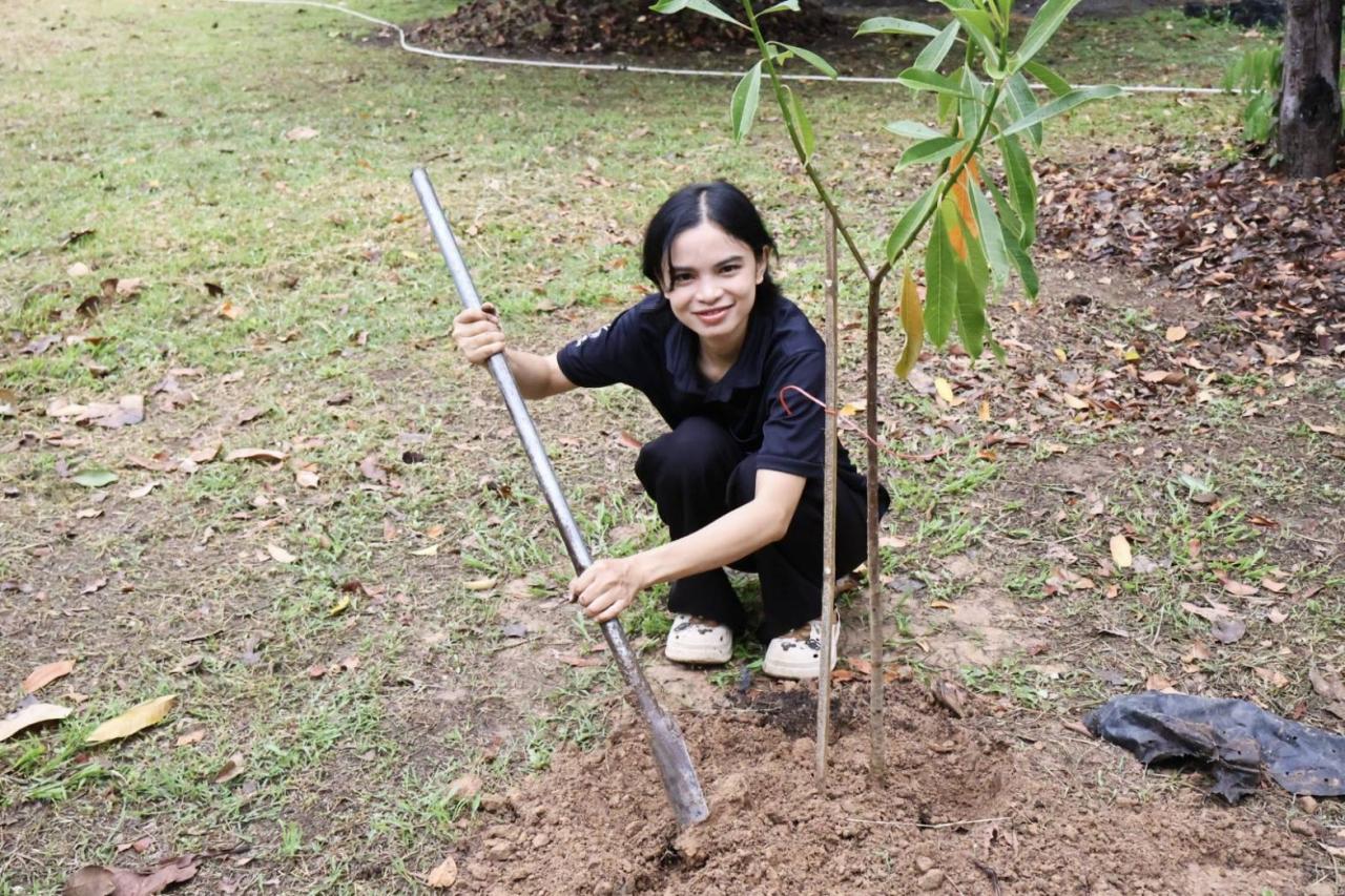 ภาพประกอบที่ 11