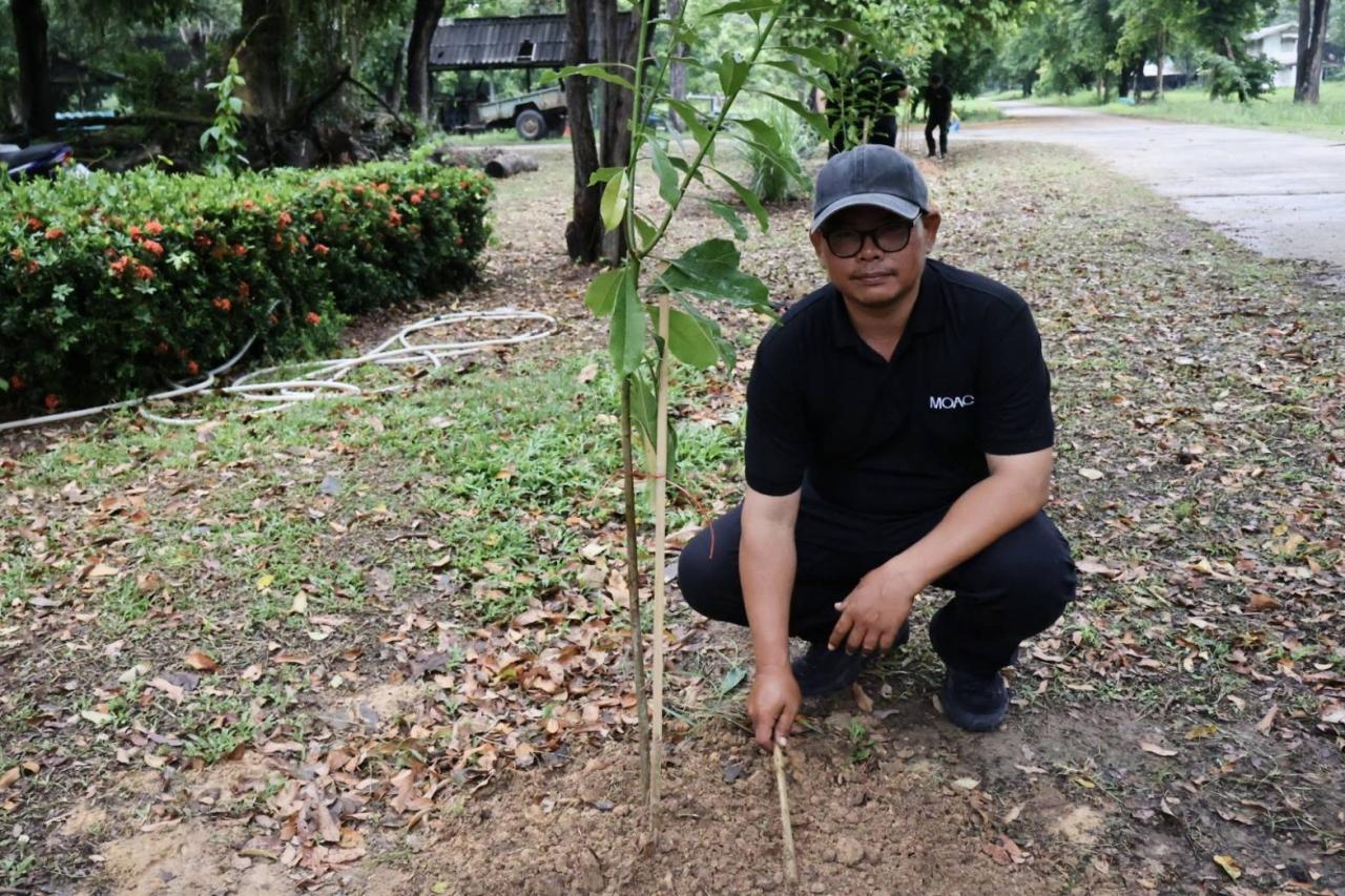 ภาพประกอบที่ 12