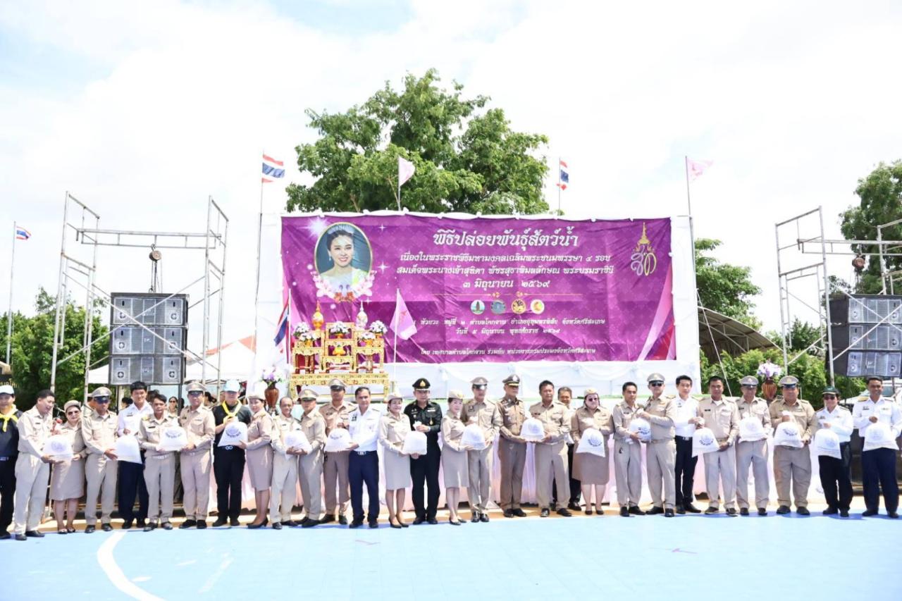 ภาพประกอบที่ 8