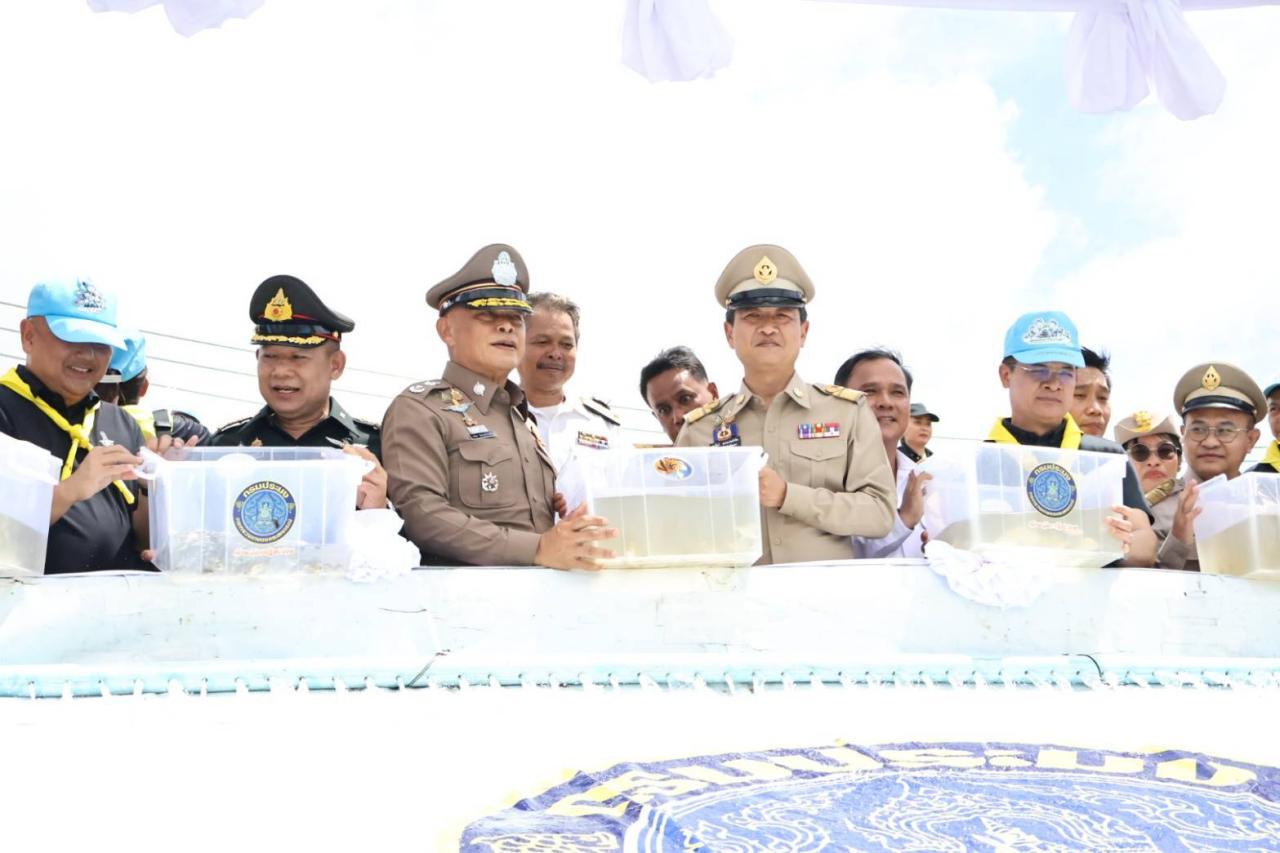 ภาพประกอบที่ 9