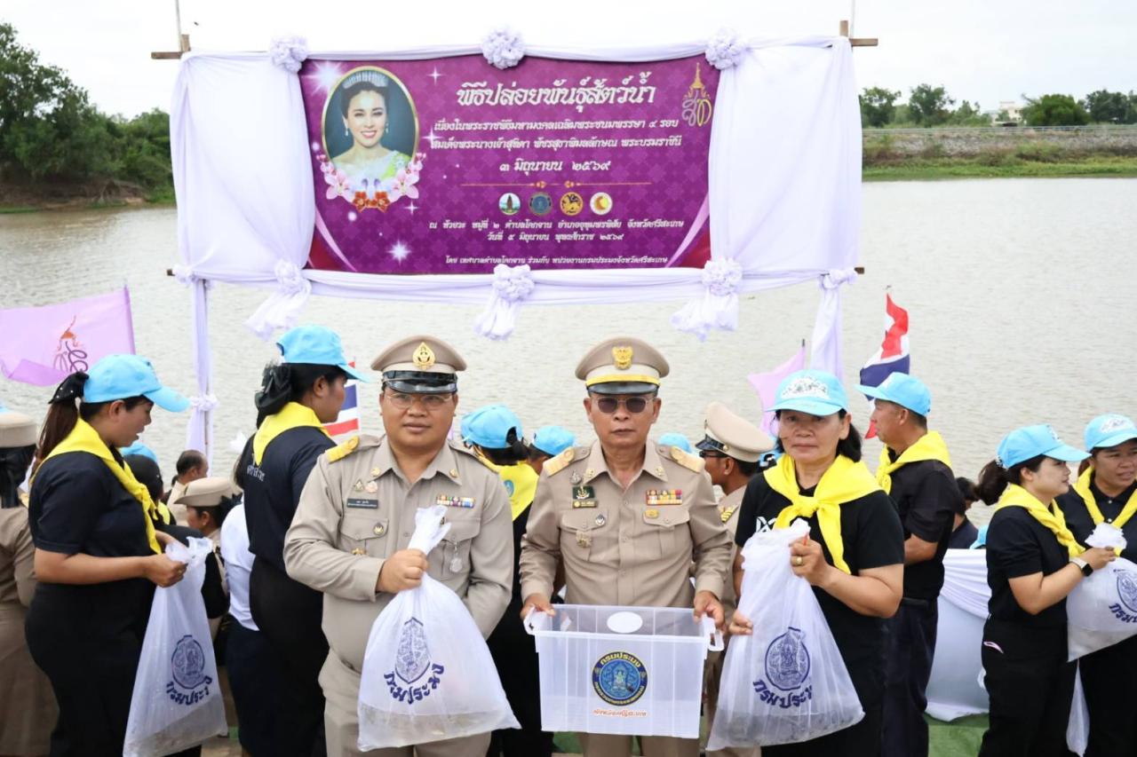ภาพประกอบที่ 11