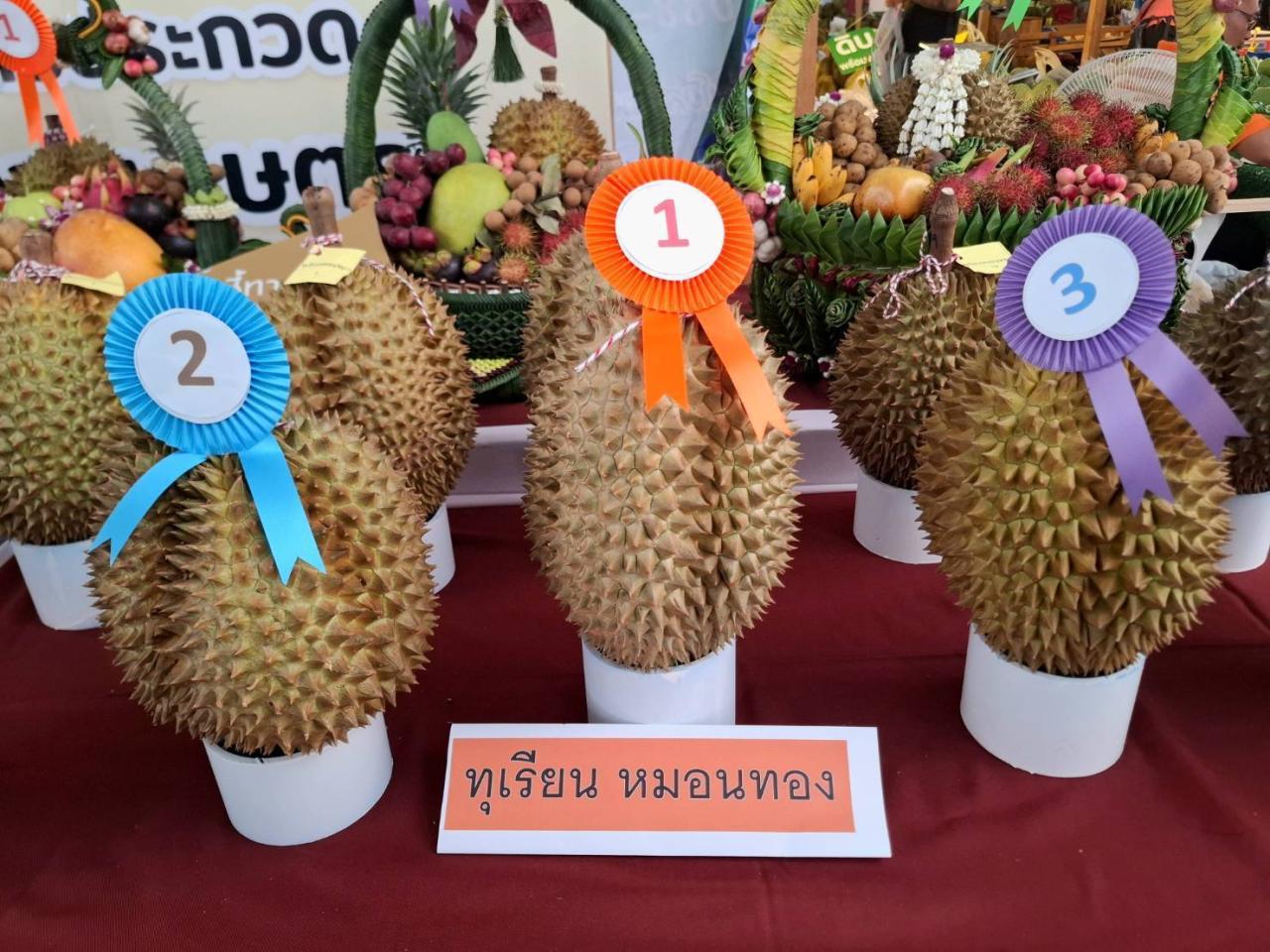 ภาพประกอบที่ 8