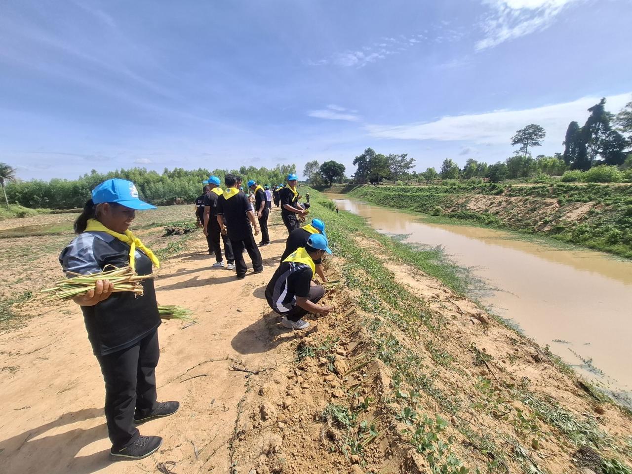 ภาพประกอบที่ 12