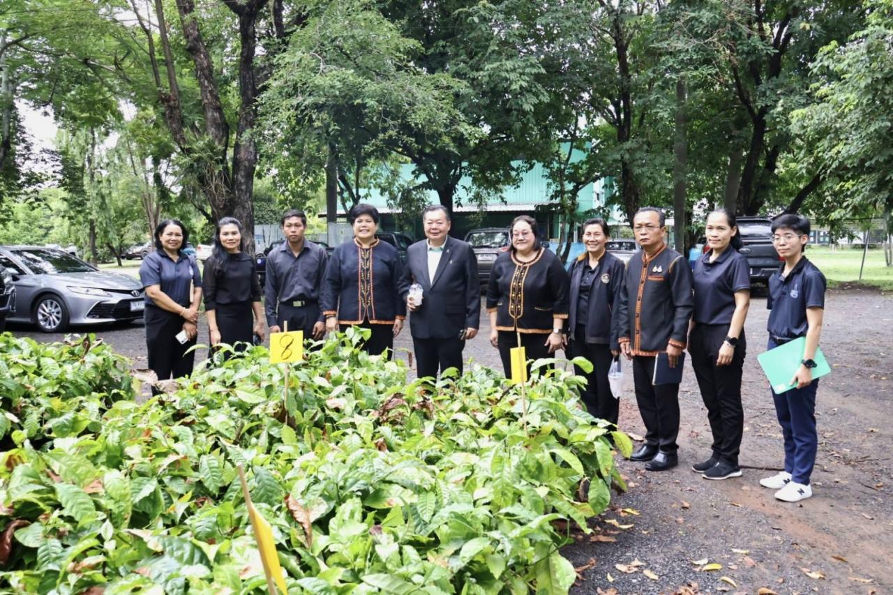 ภาพประกอบที่ 8
