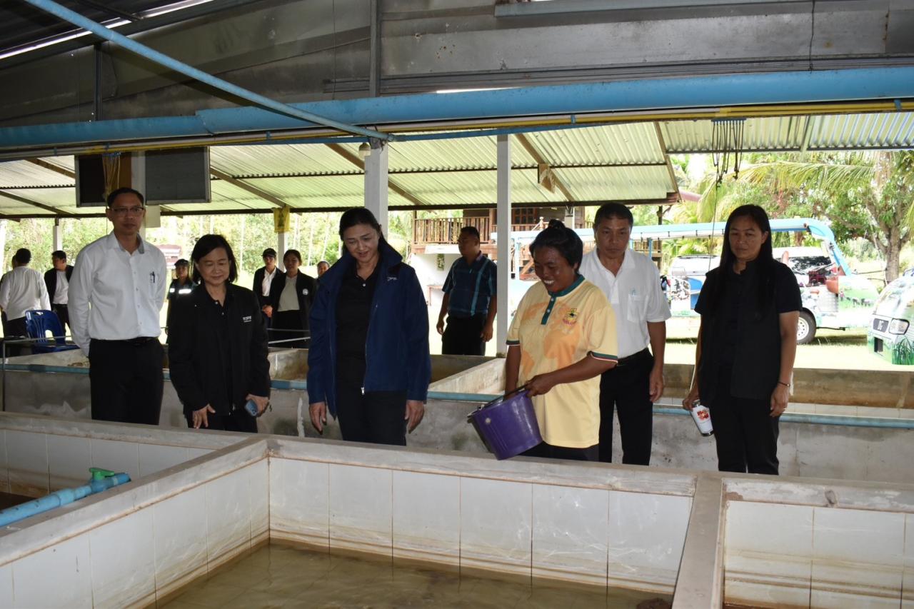ภาพประกอบที่ 15