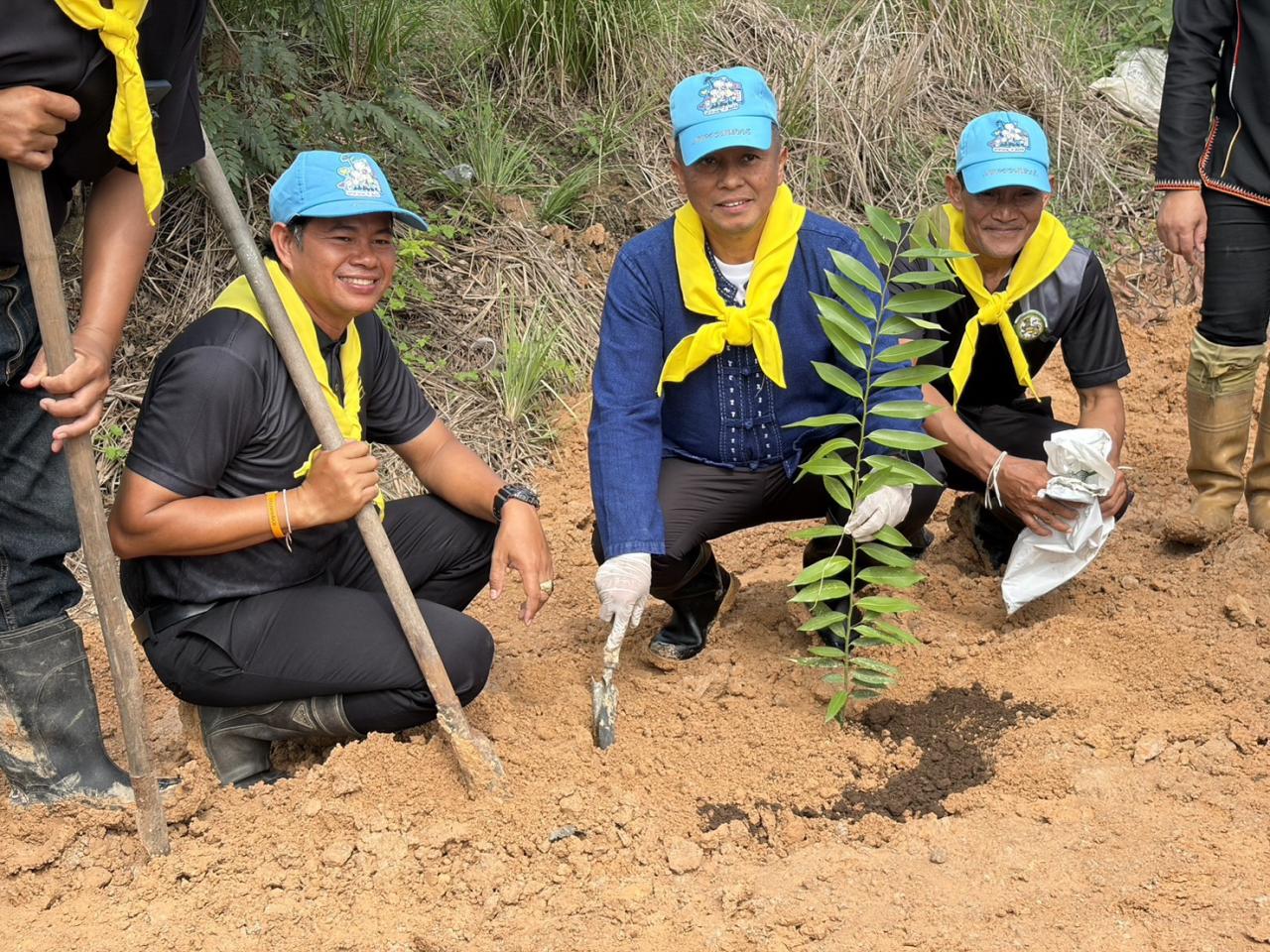 ภาพประกอบที่ 4
