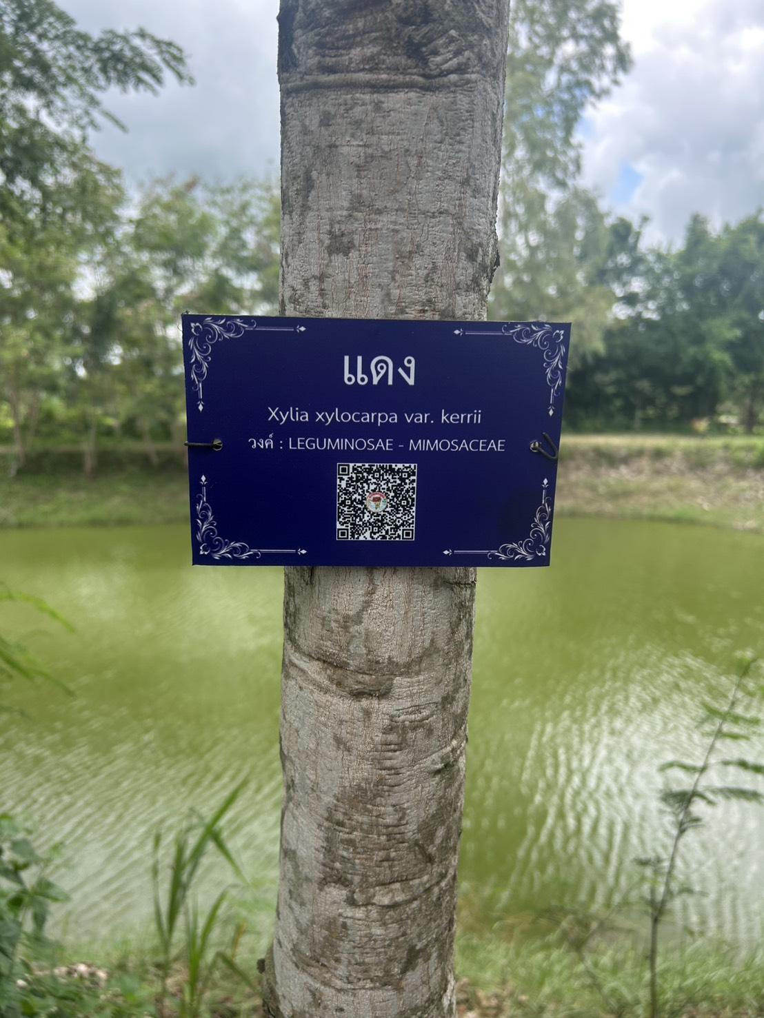 ภาพประกอบที่ 10