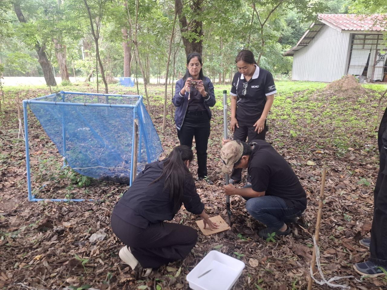 ภาพประกอบที่ 4