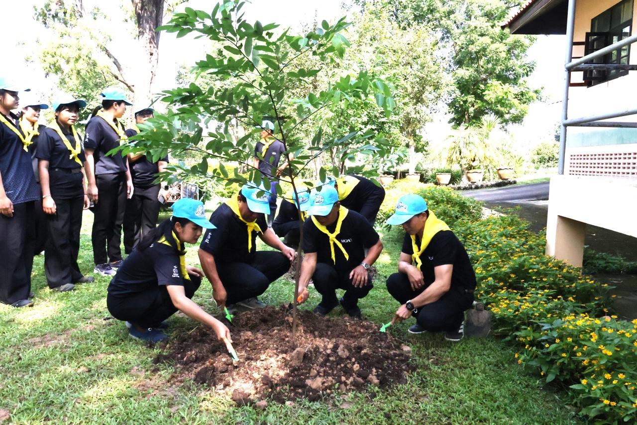 ภาพประกอบที่ 6
