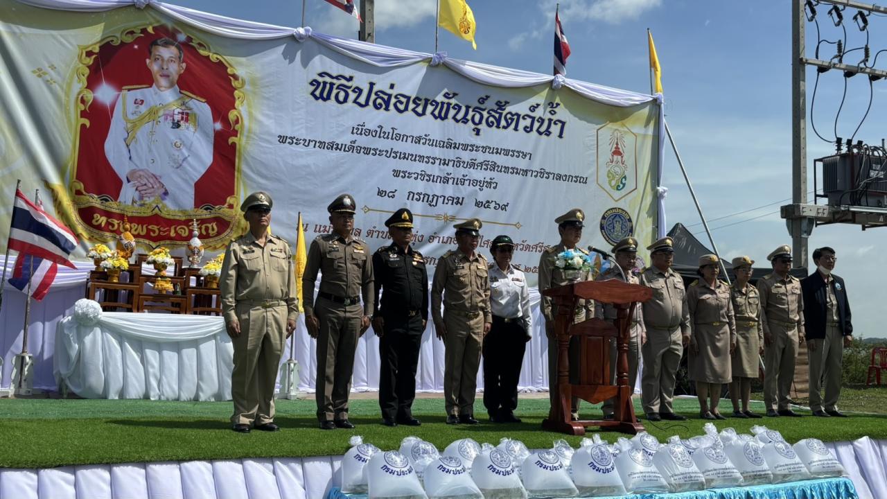 ภาพประกอบที่ 0