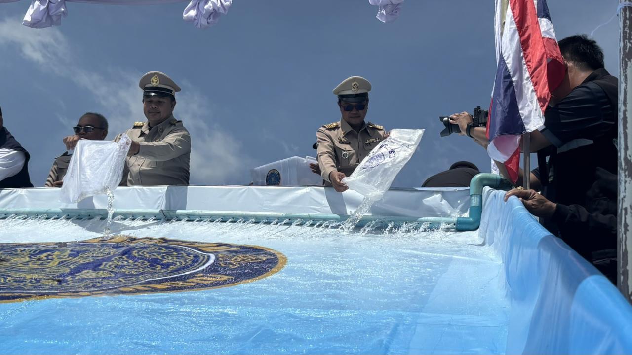 ภาพประกอบที่ 9