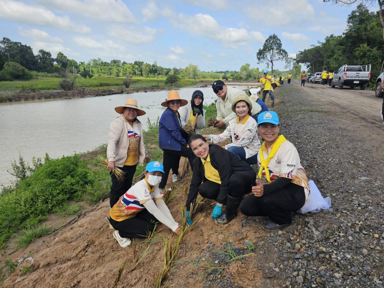 ภาพประกอบที่ 2