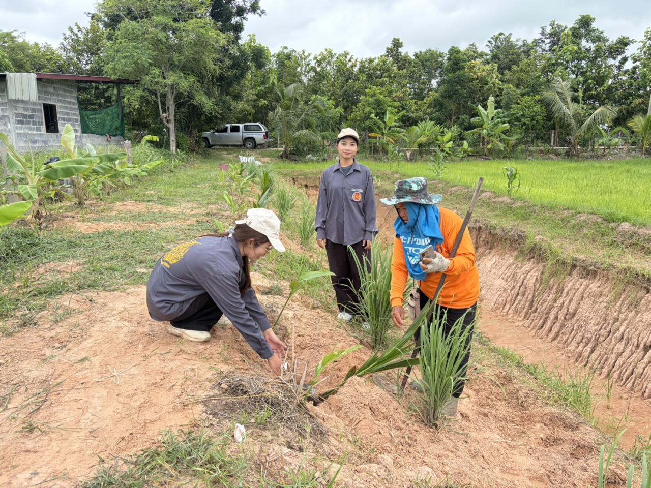 ภาพประกอบที่ 14