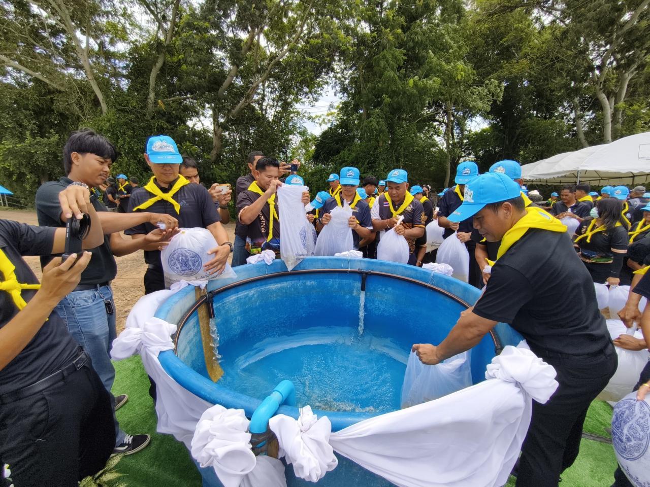ภาพประกอบที่ 4
