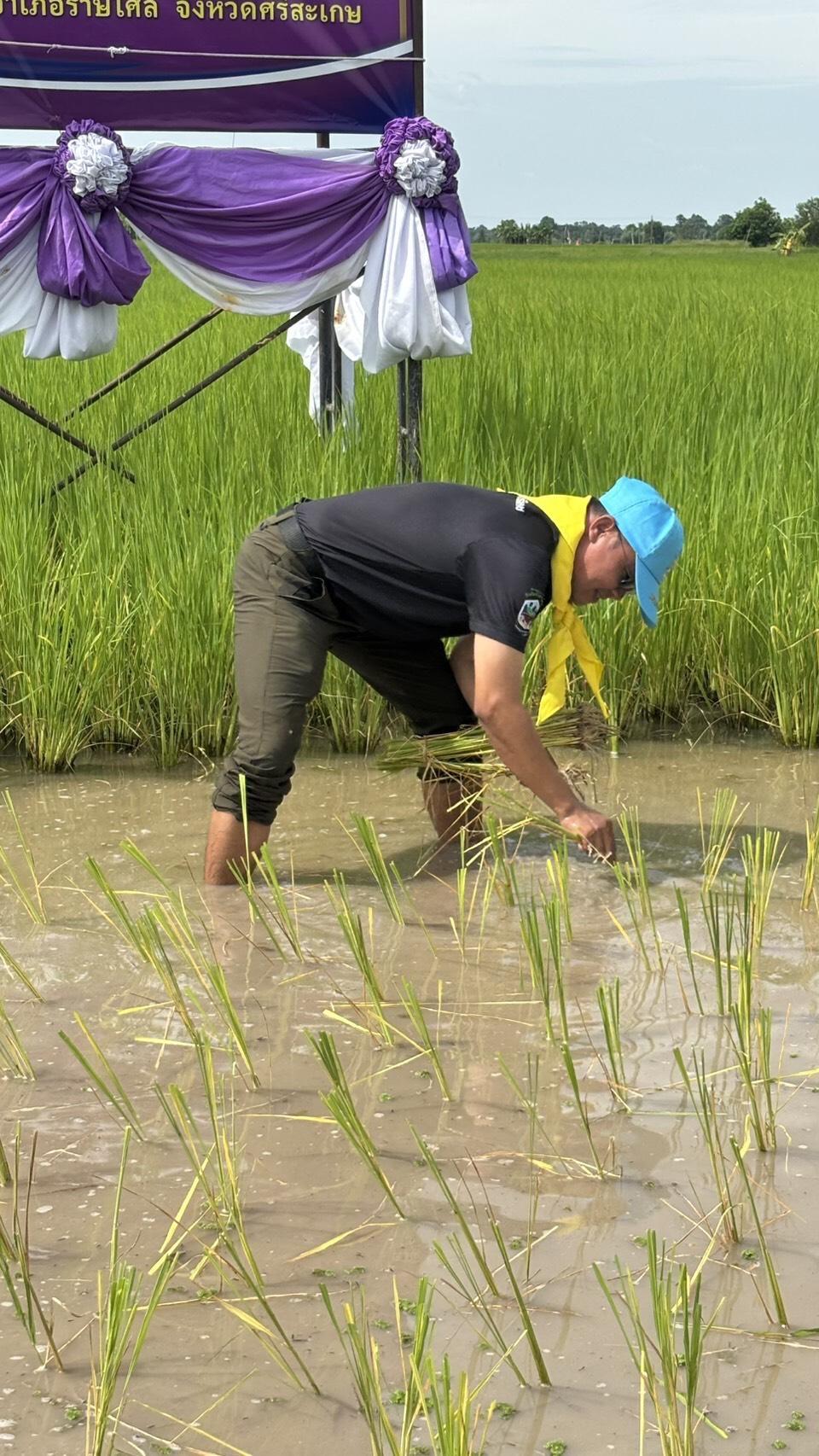 ภาพประกอบที่ 4