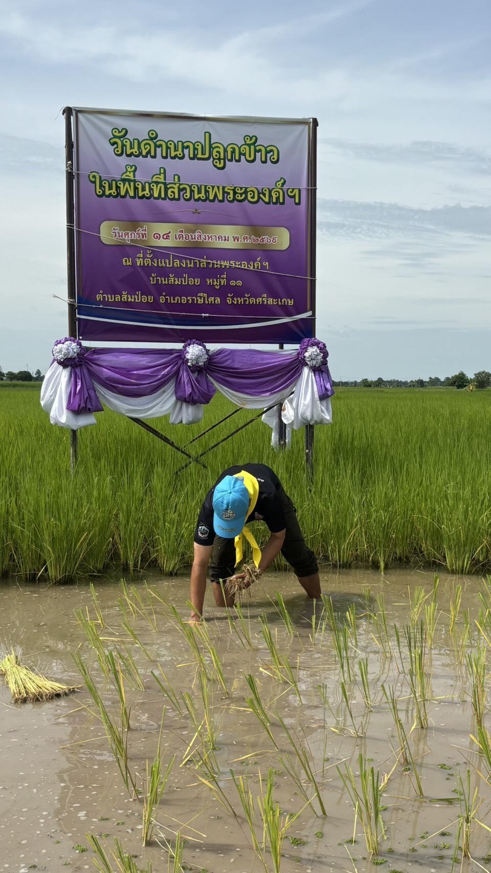 ภาพประกอบที่ 5