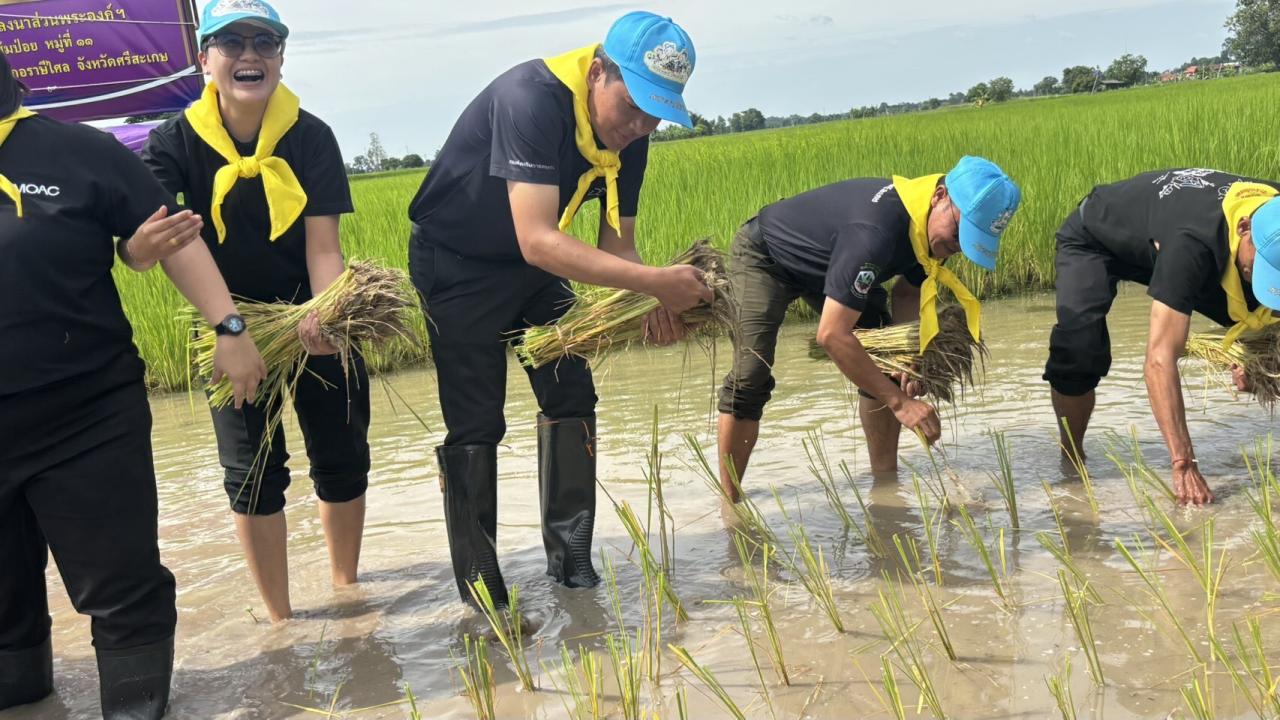 ภาพประกอบที่ 6