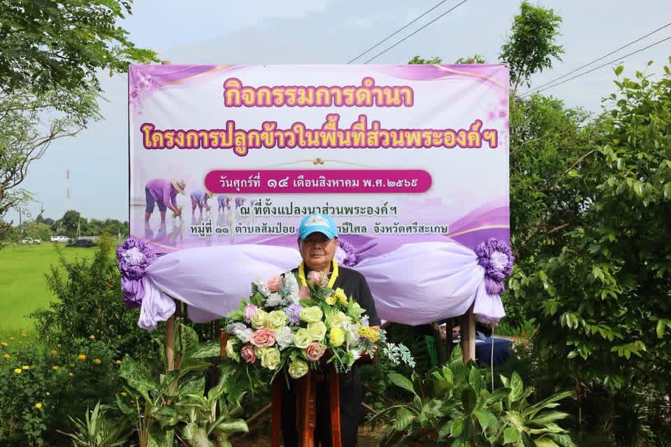 ภาพประกอบที่ 8