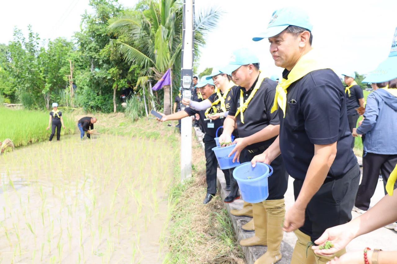 ภาพประกอบที่ 10