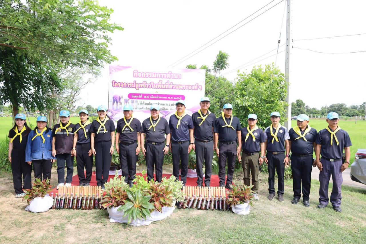 ภาพประกอบที่ 11