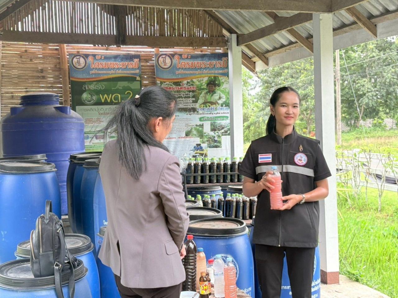 ภาพประกอบที่ 2