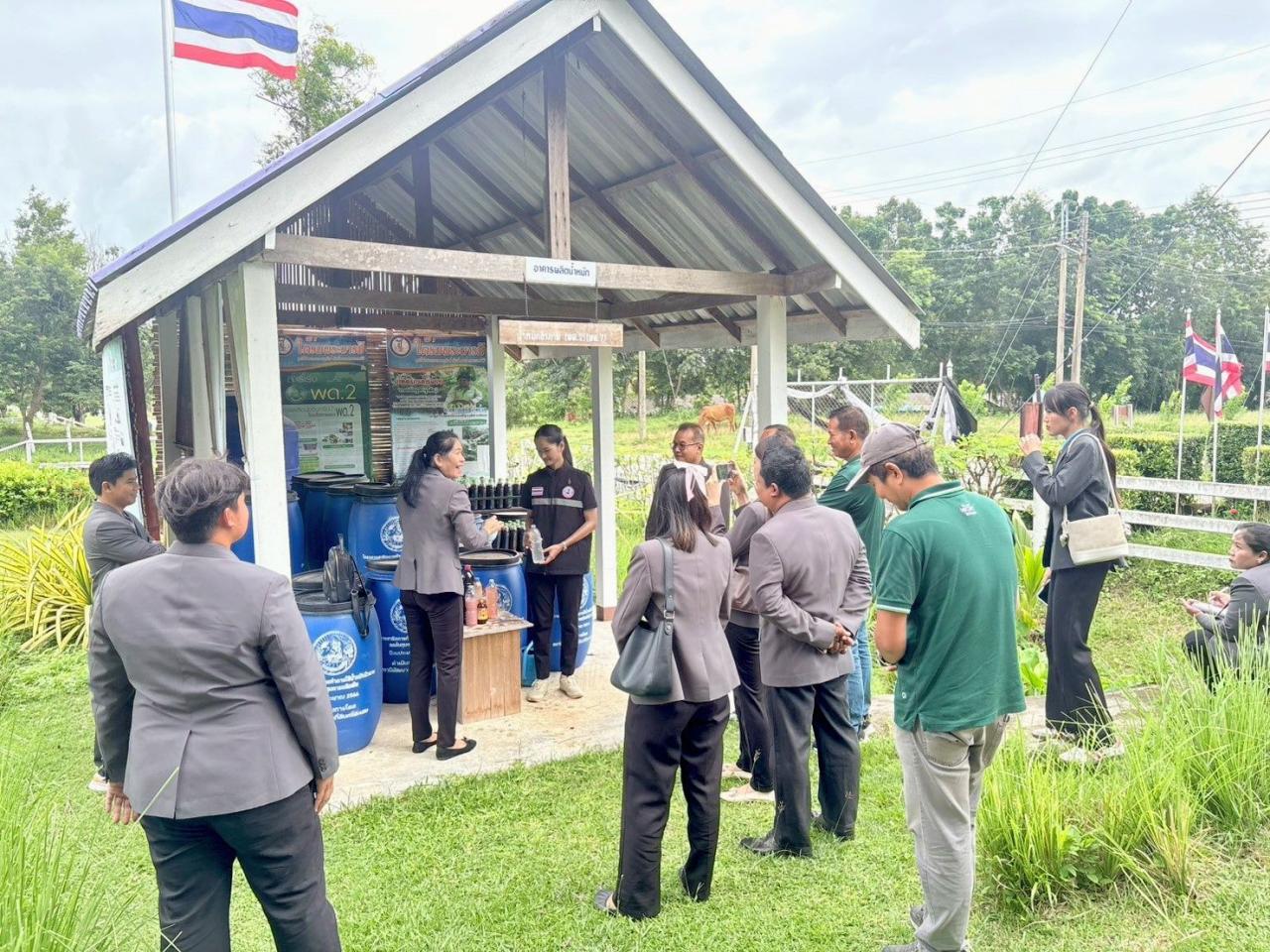 ภาพประกอบที่ 5