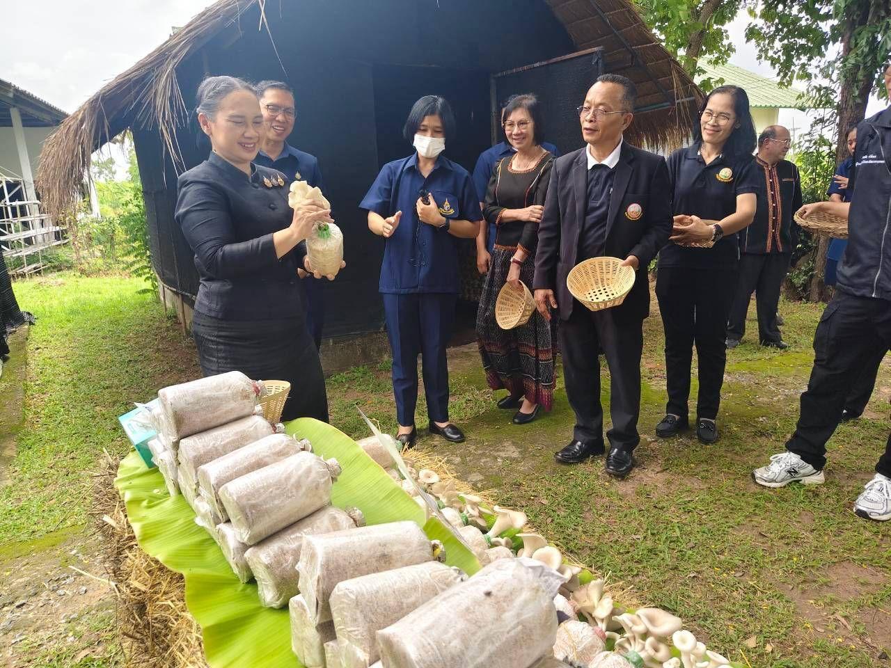 ภาพประกอบที่ 6