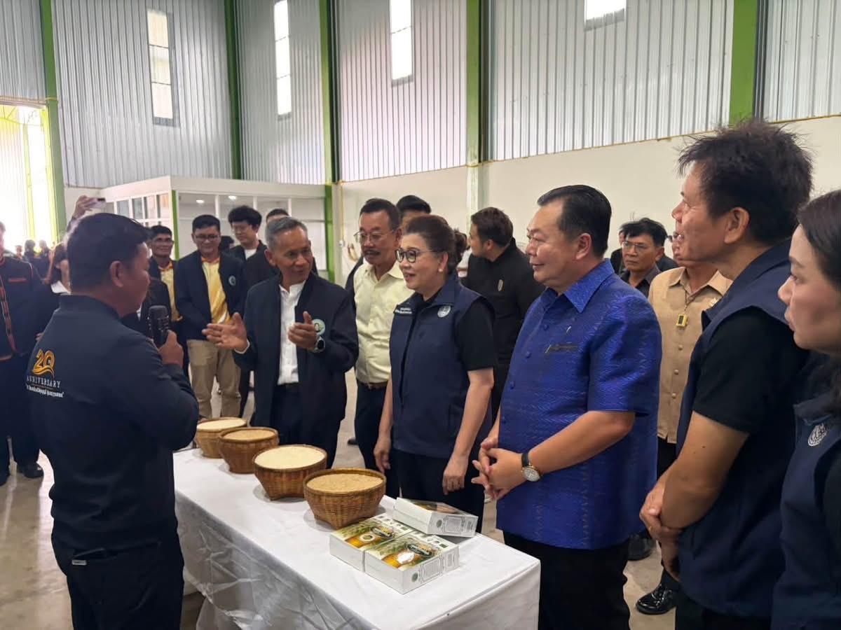 ภาพประกอบที่ 8
