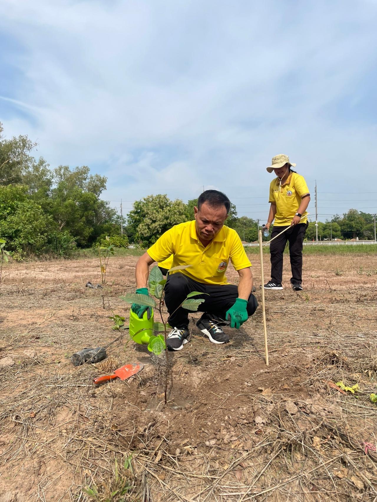 ภาพประกอบที่ 5