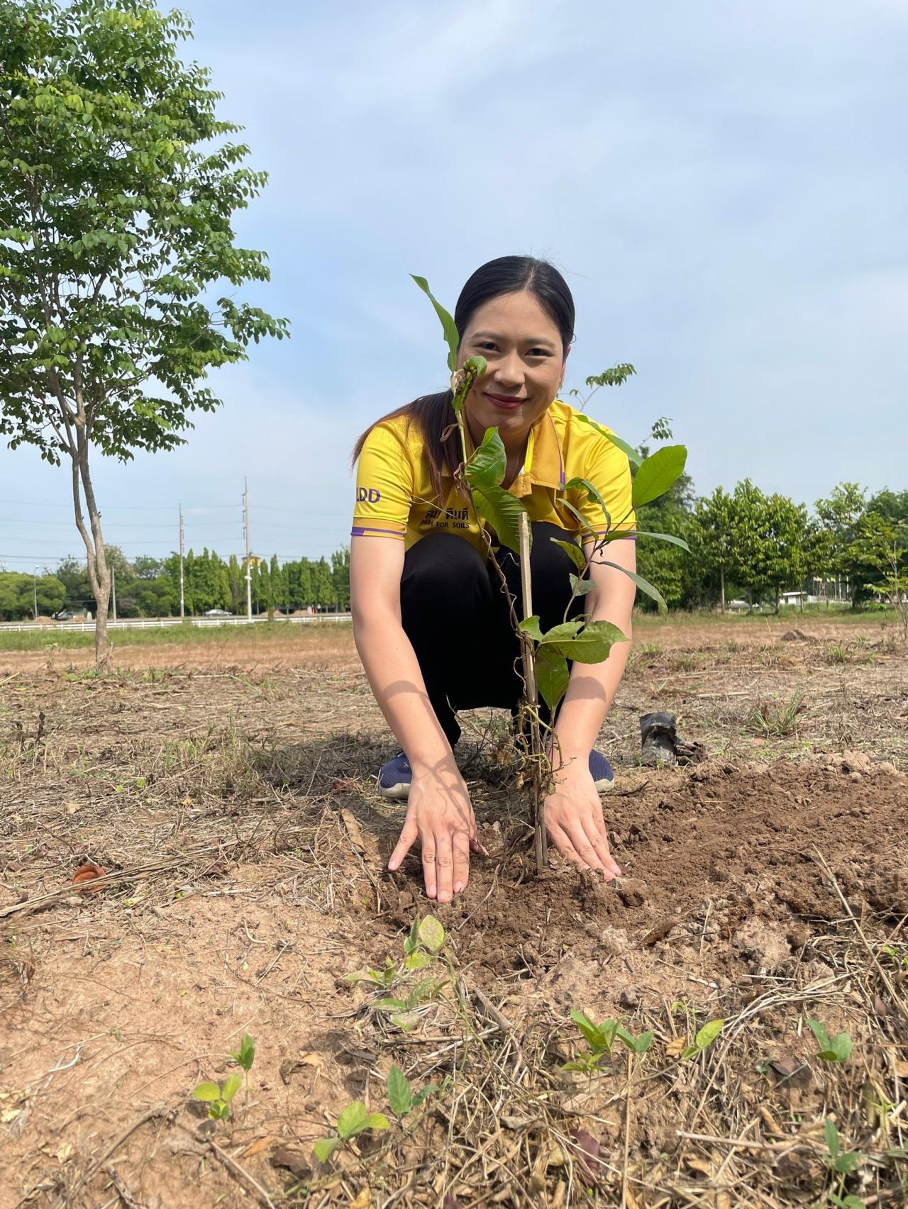 ภาพประกอบที่ 6