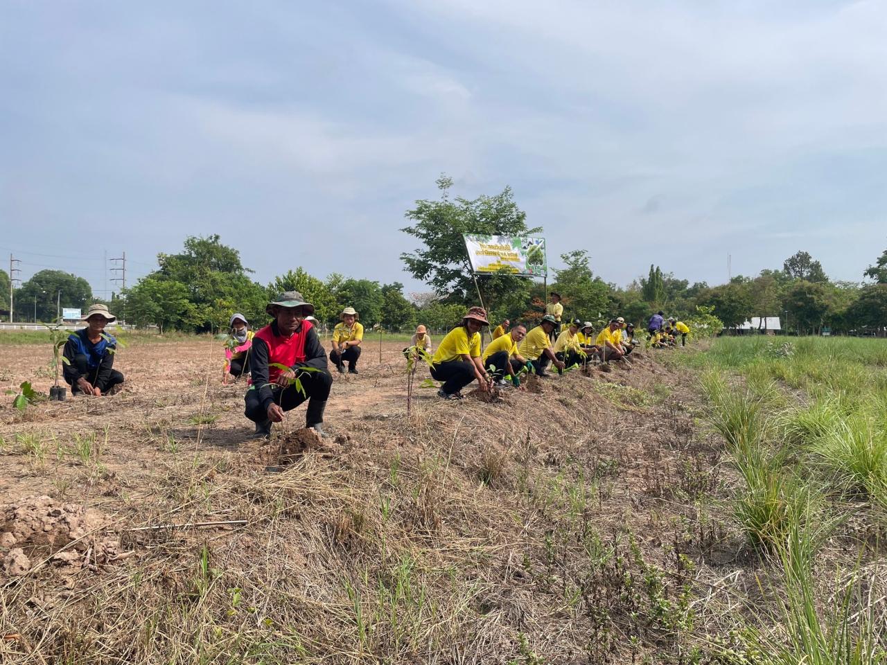 ภาพประกอบที่ 8