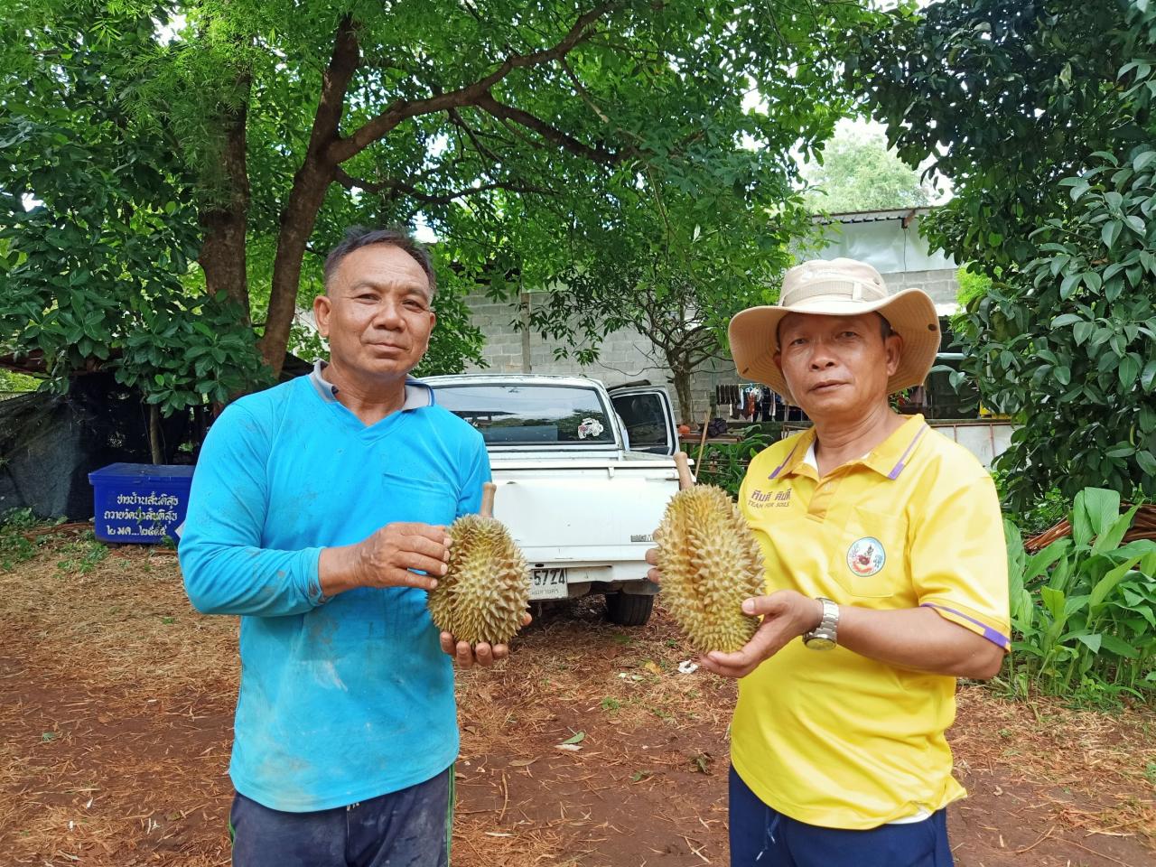 ภาพประกอบที่ 0