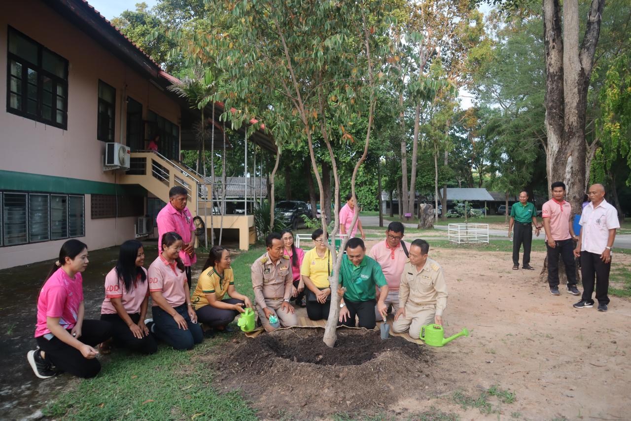 ภาพประกอบที่ 4