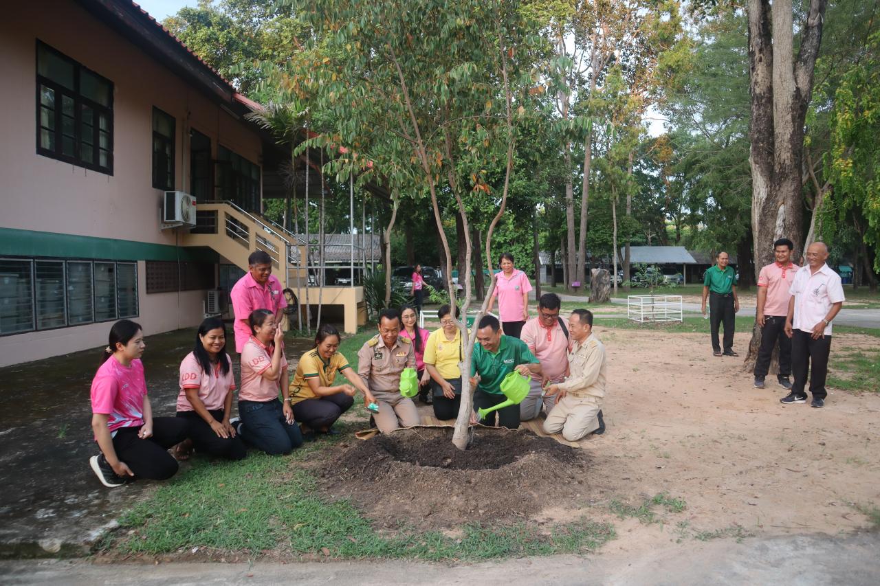 ภาพประกอบที่ 5