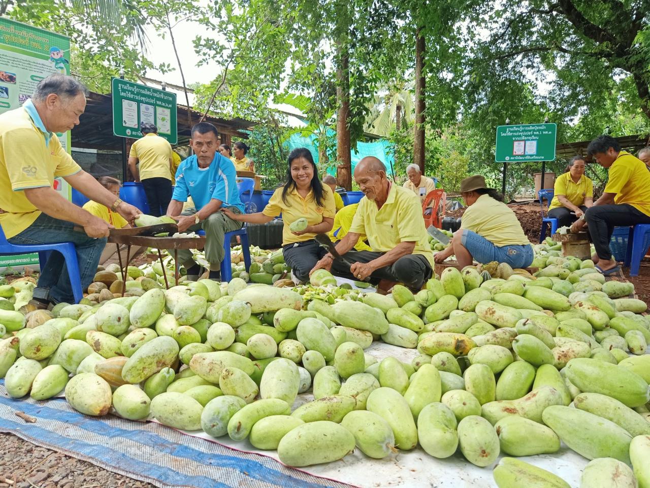 ภาพประกอบที่ 8