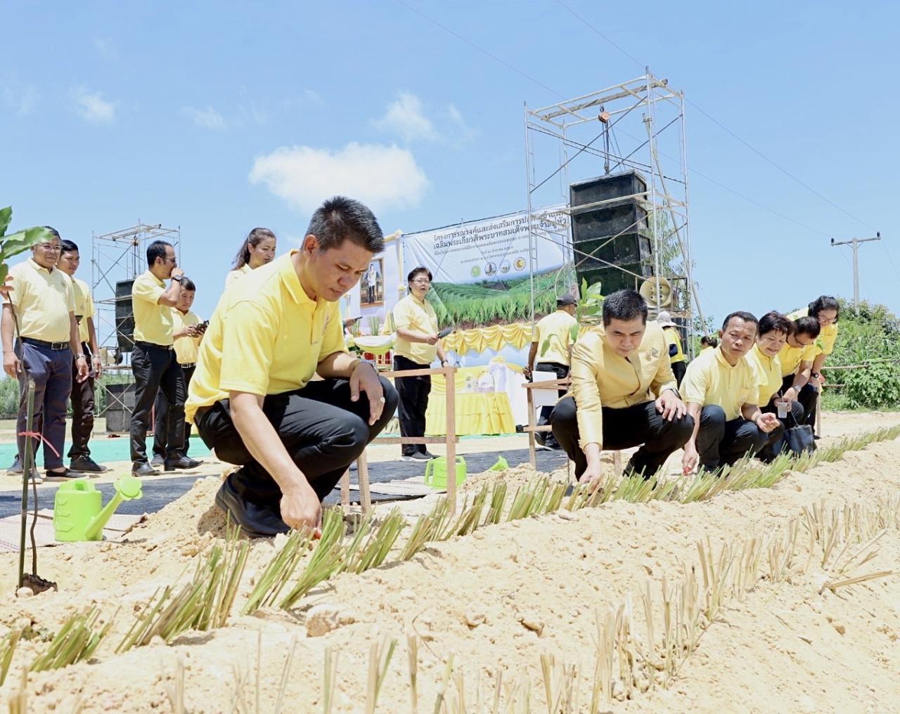 ภาพประกอบที่ 7