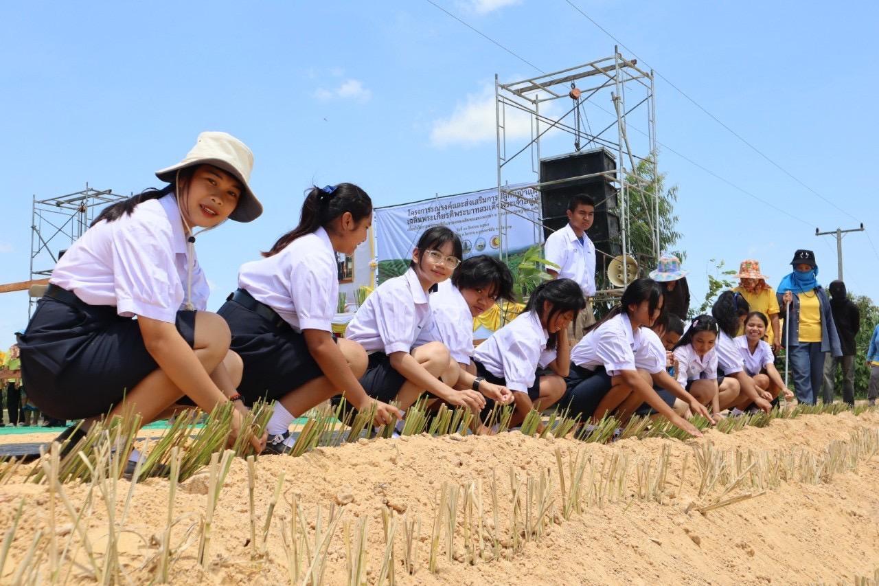 ภาพประกอบที่ 8