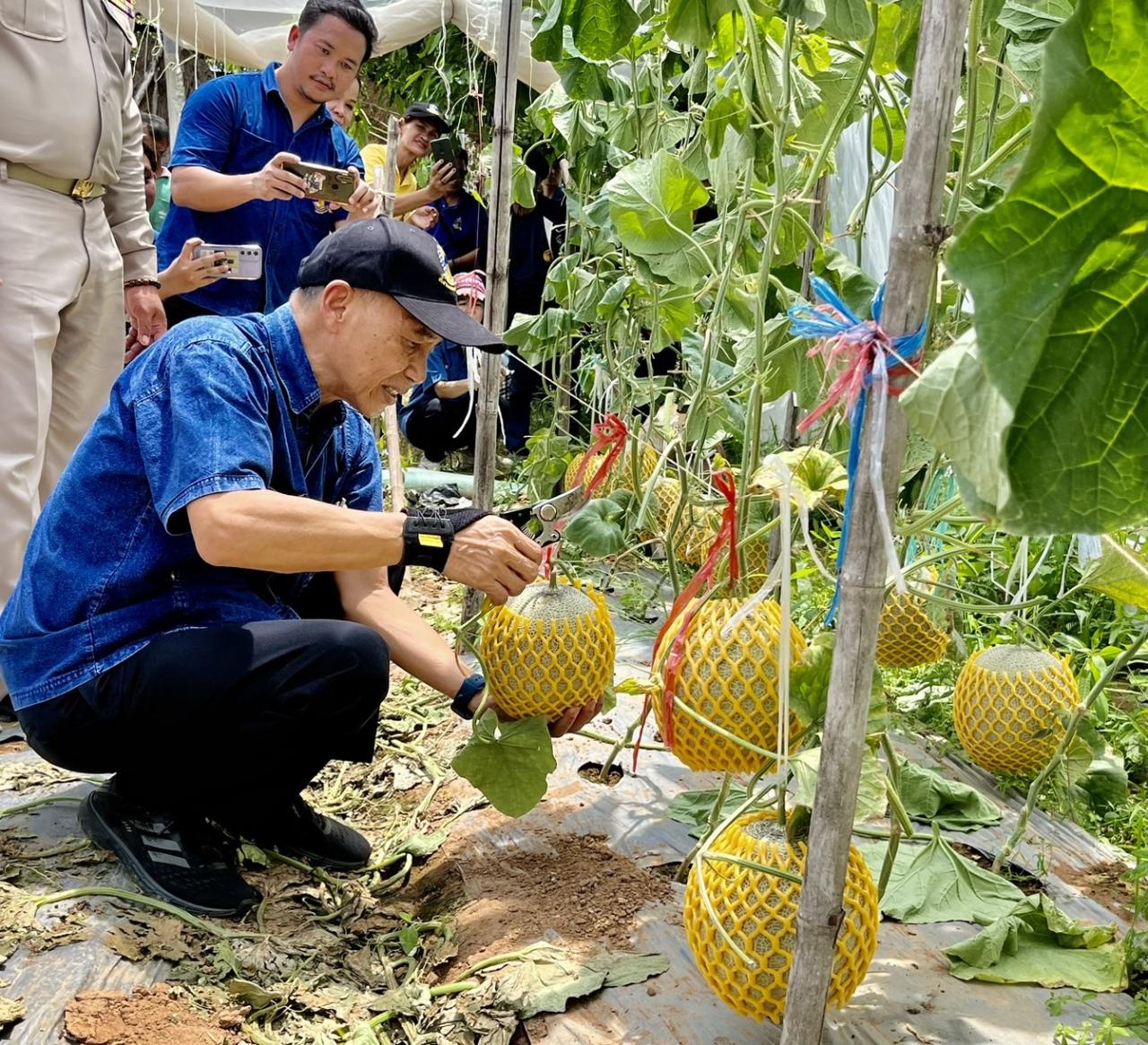 ภาพประกอบที่ 3