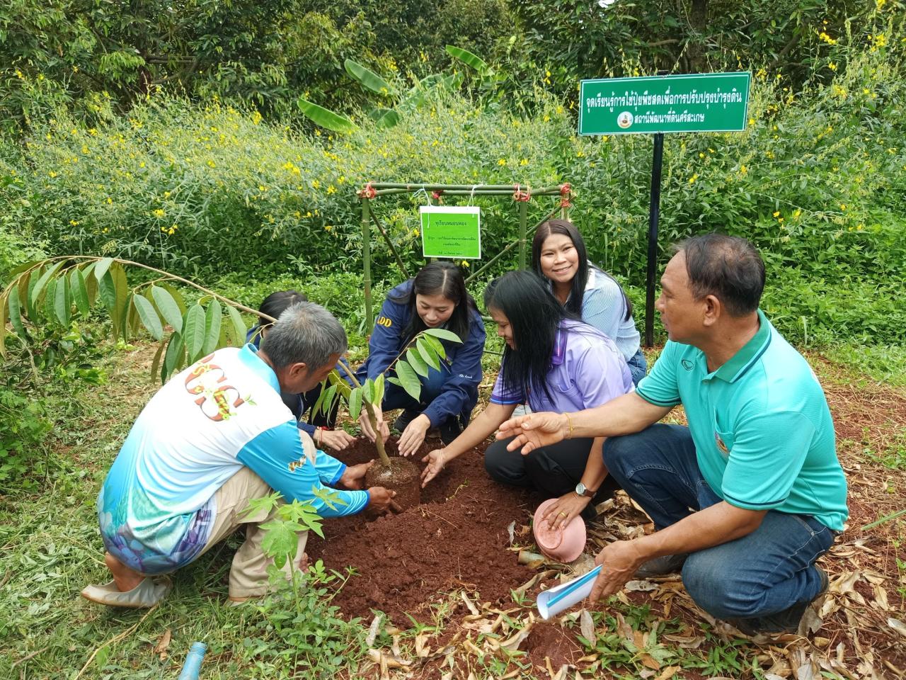 ภาพประกอบที่ 4